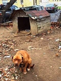 Gimme Shelter outreach