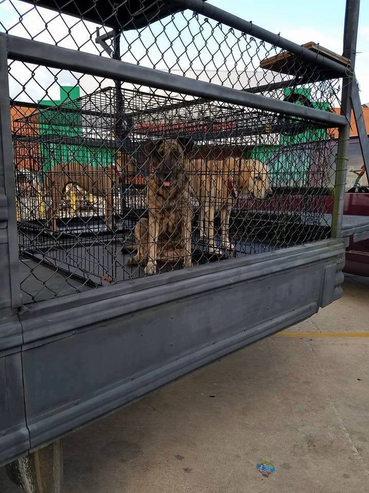 Louisiana Rescue